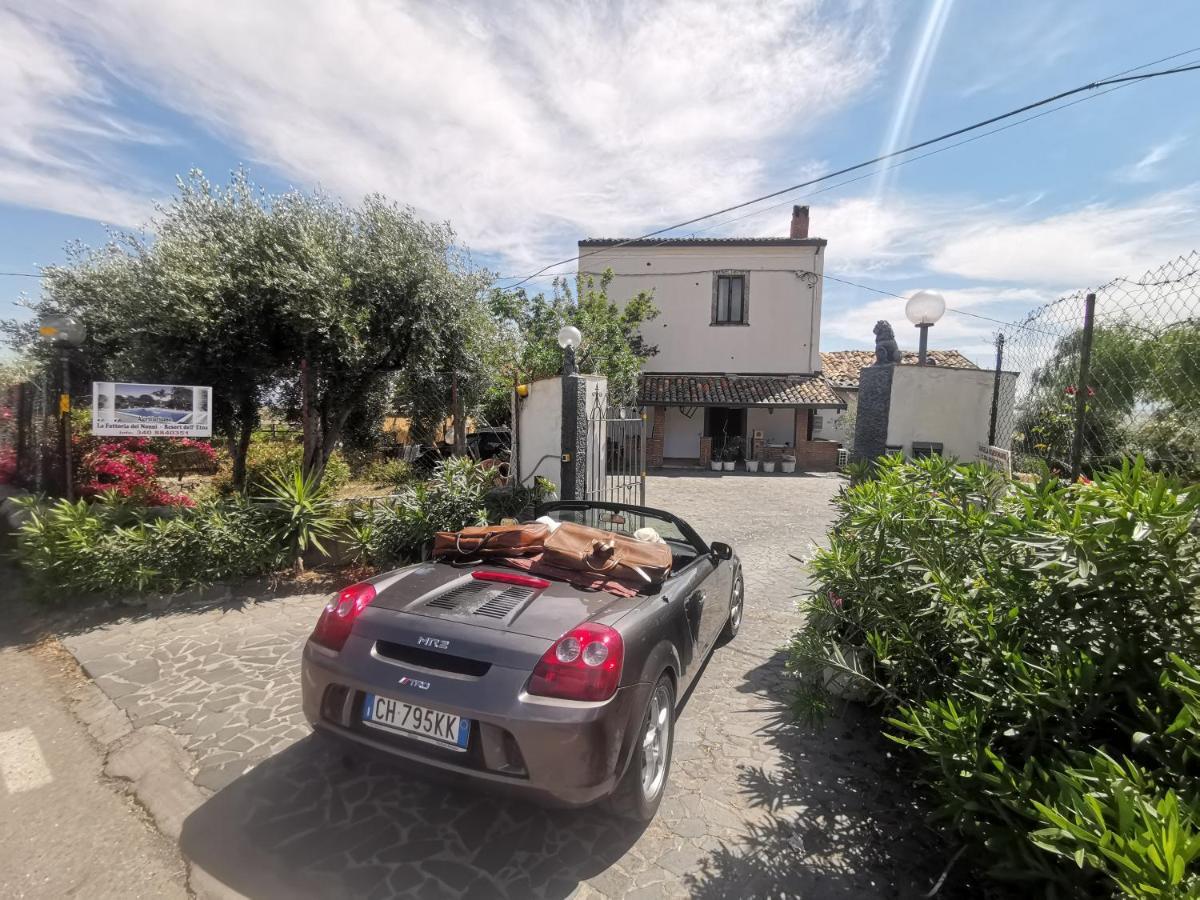 Gasthaus La Fattoria Dei Nonni Paterno  Exterior foto